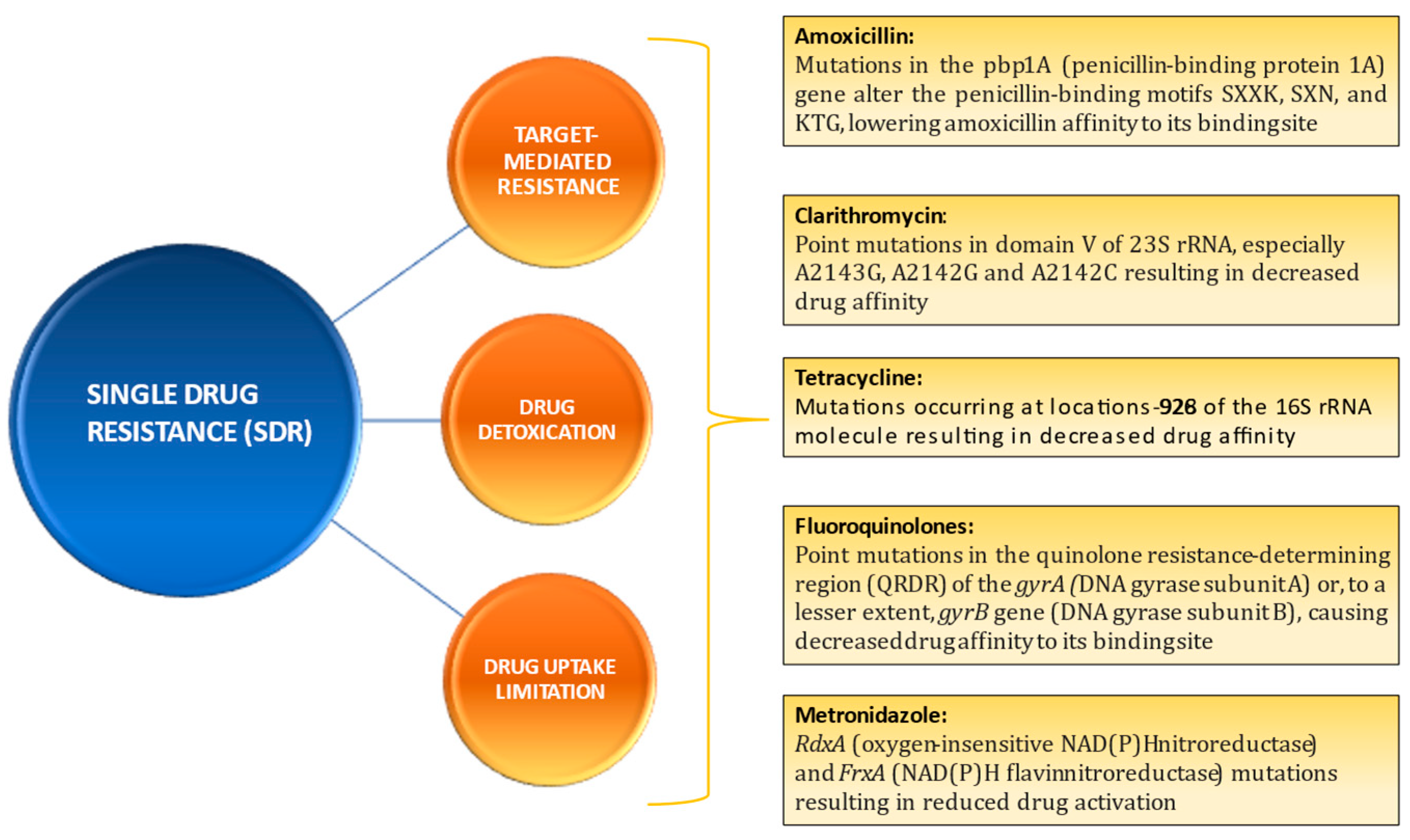 Diagnostics 13 02944 g004