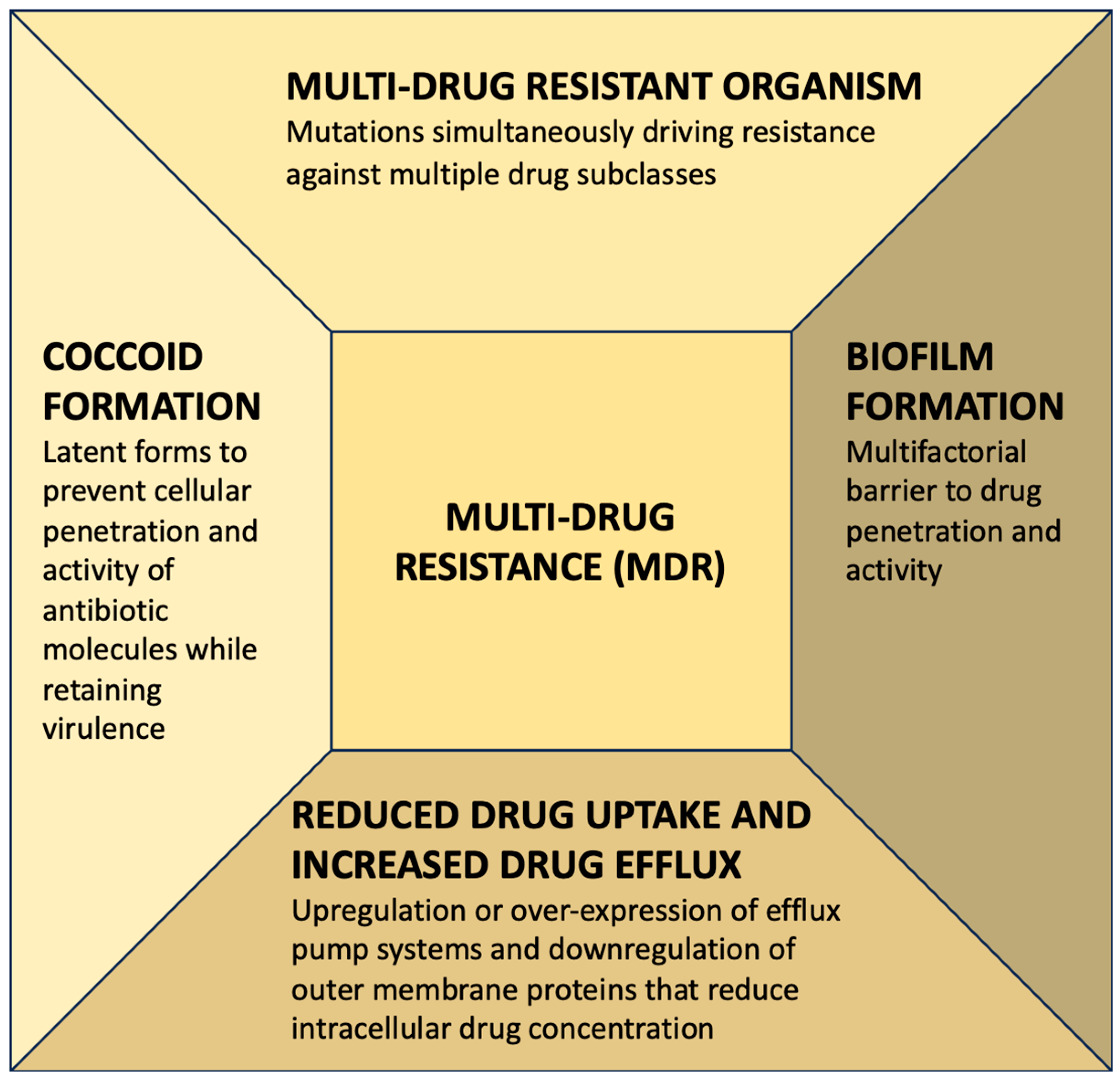 Diagnostics 13 02944 g005