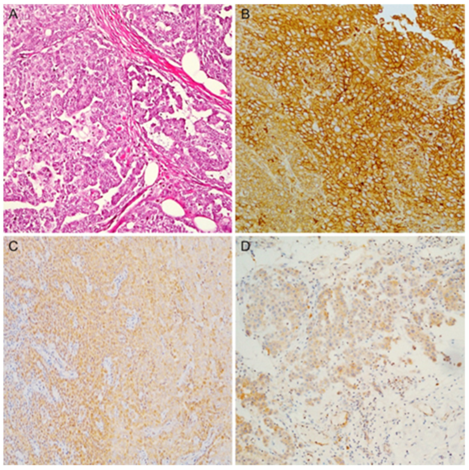 Diagnostics 13 02945 g001