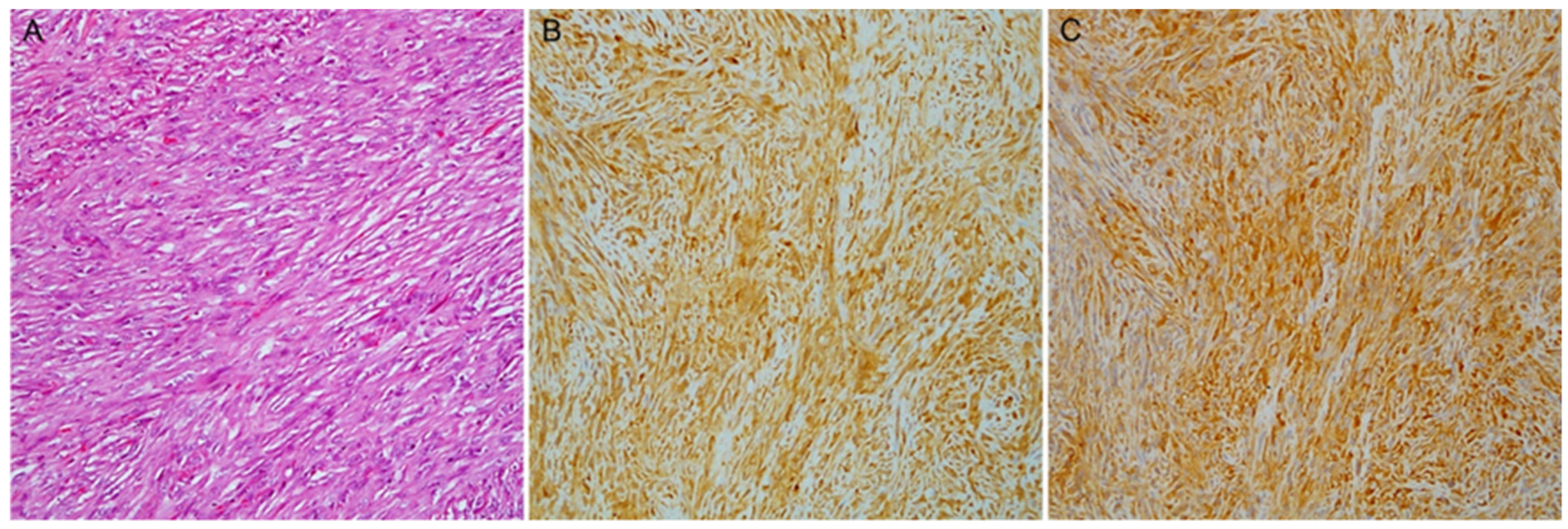 Diagnostics 13 02945 g002