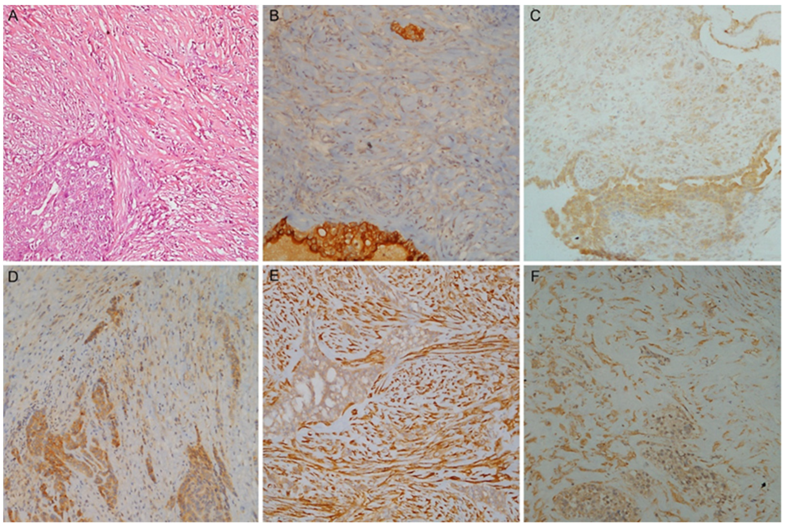 Diagnostics 13 02945 g003