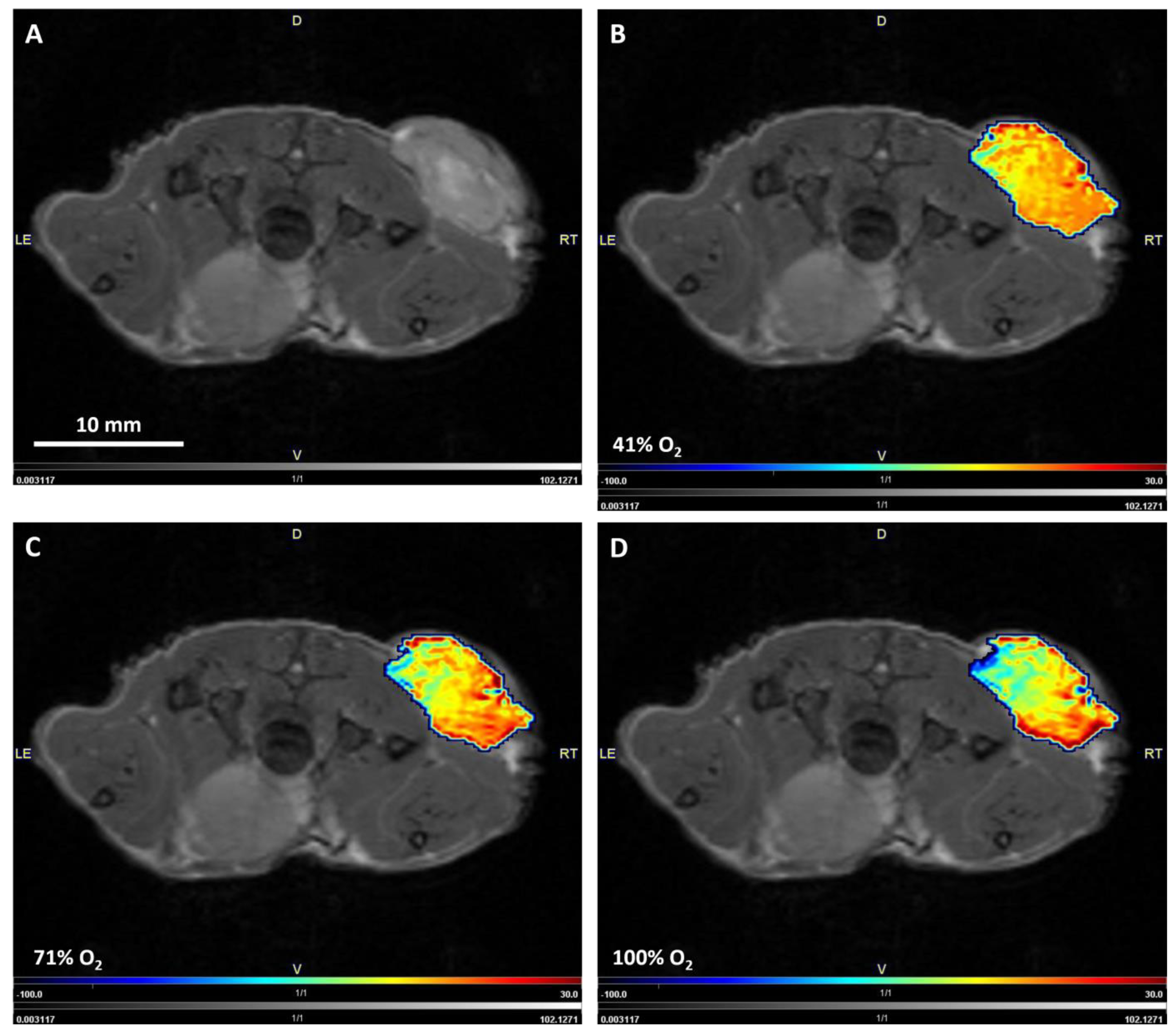 Diagnostics 13 02946 g002
