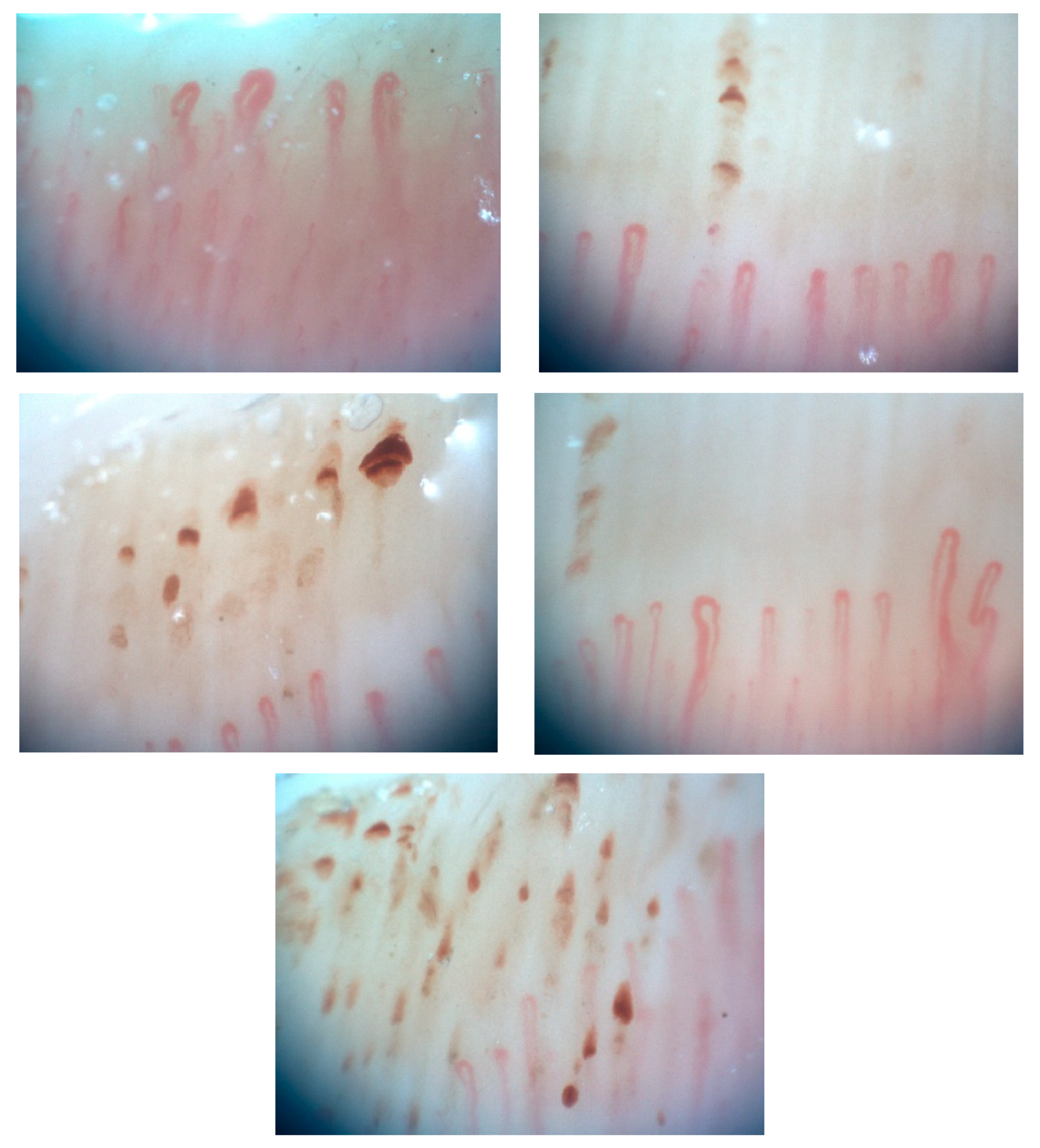 Diagnostics 13 02951 g001 Diagnostics 13 02951 g001