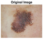 Diagnostics 13 02958 i001