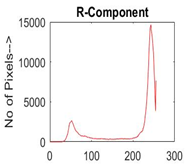 Diagnostics 13 02958 i006