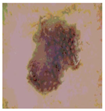 Diagnostics 13 02958 i045