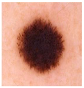 Diagnostics 13 02958 i046