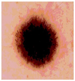 Diagnostics 13 02958 i050