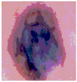 Diagnostics 13 02958 i054