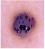 Diagnostics 13 02958 i056