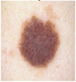 Diagnostics 13 02958 i061