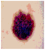 Diagnostics 13 02958 i063