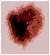 Diagnostics 13 02958 i068