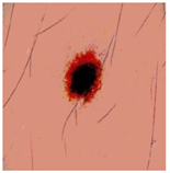 Diagnostics 13 02958 i077