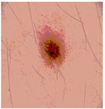 Diagnostics 13 02958 i078