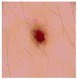 Diagnostics 13 02958 i079