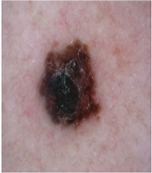 Diagnostics 13 02958 i081