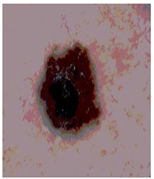 Diagnostics 13 02958 i083