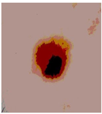 Diagnostics 13 02958 i087