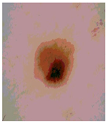 Diagnostics 13 02958 i090