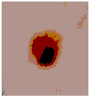 Diagnostics 13 02958 i091