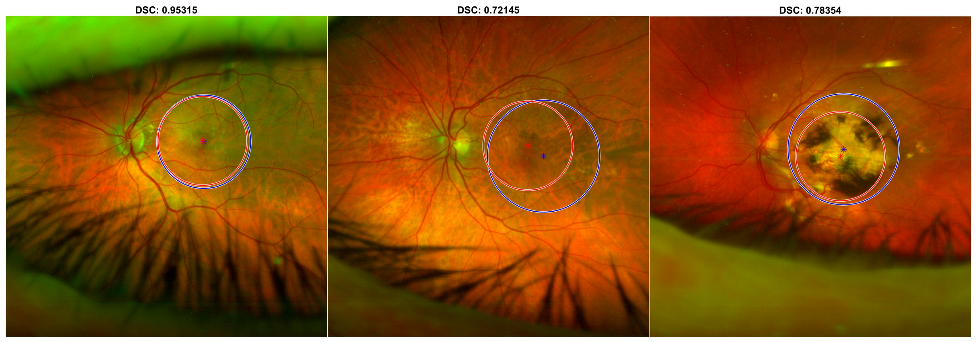 Diagnostics 13 02965 g004