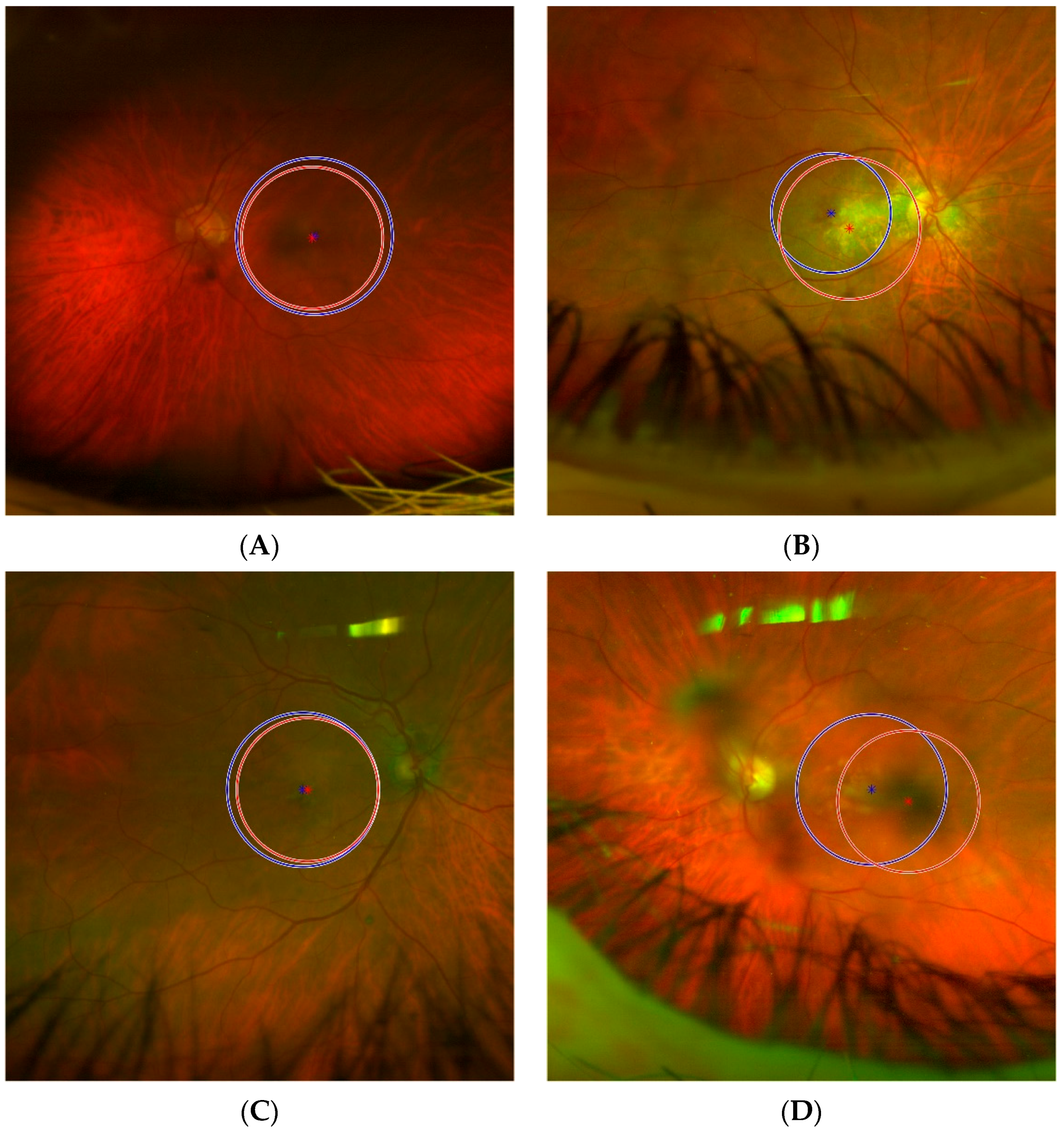 Diagnostics 13 02965 g008