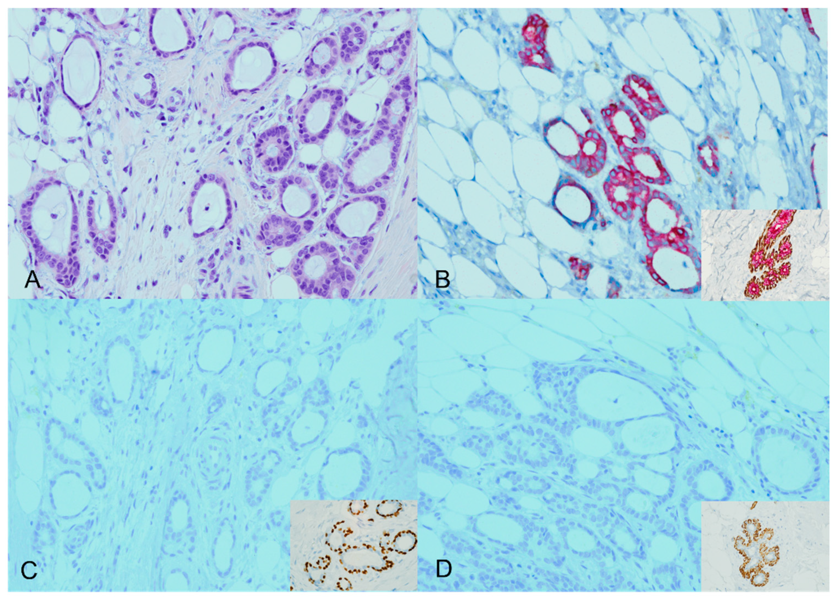 Diagnostics 13 02966 g001