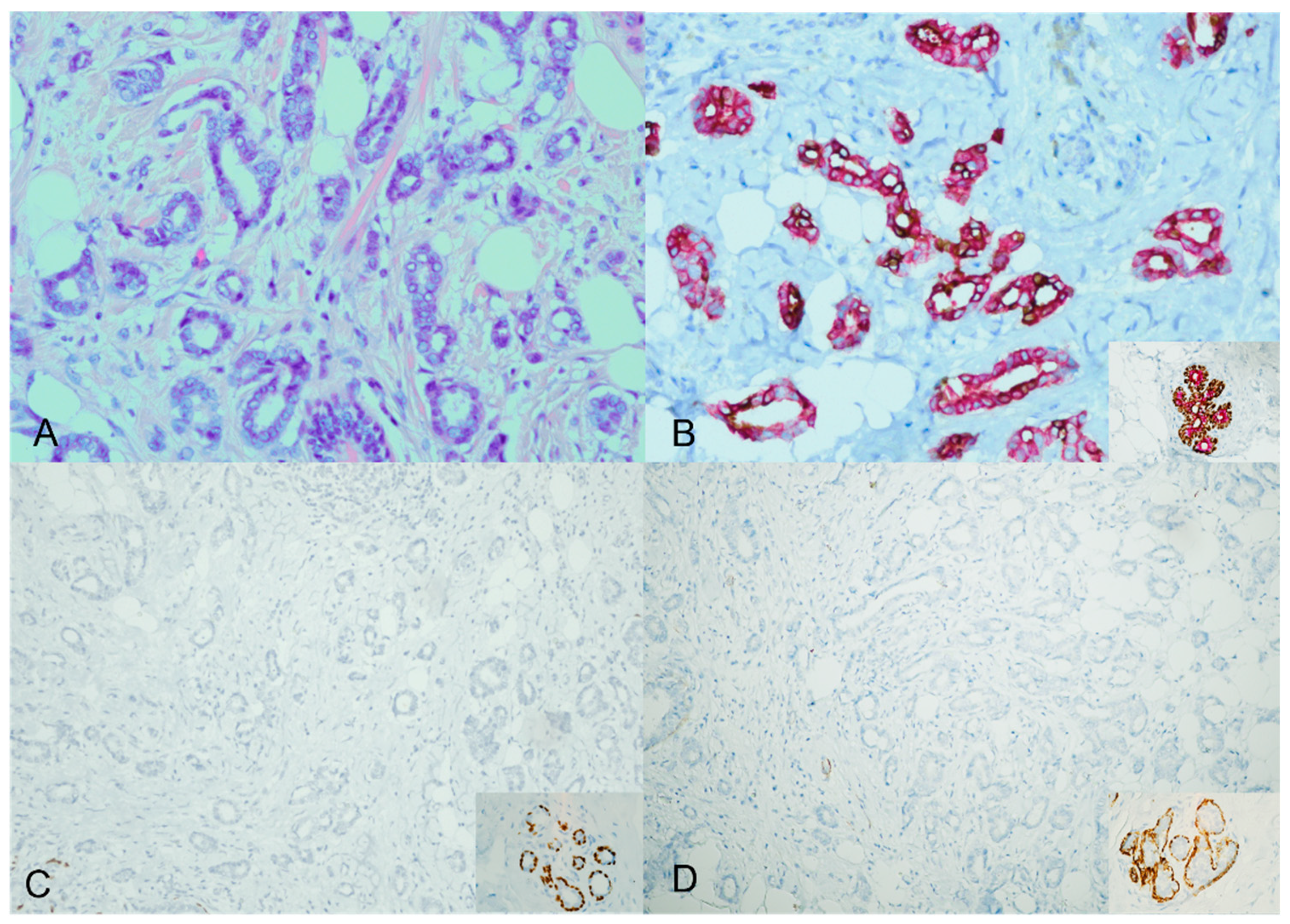 Diagnostics 13 02966 g002