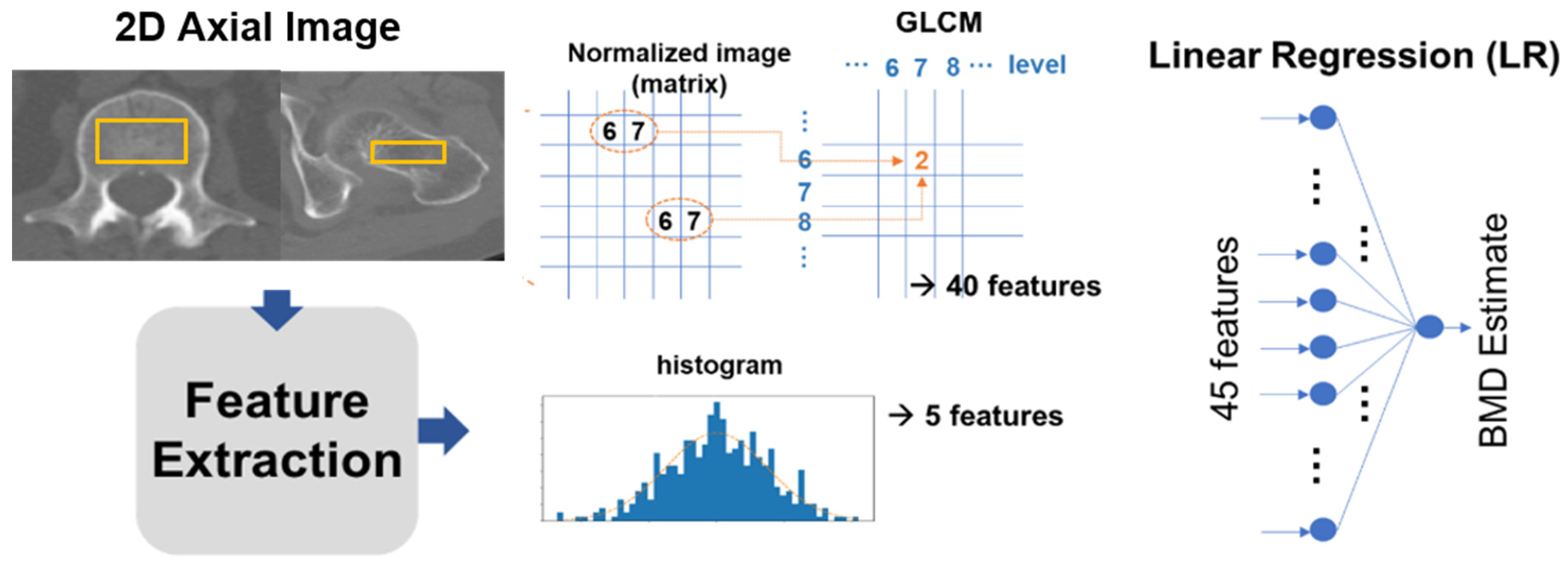 Diagnostics 13 02968 g003