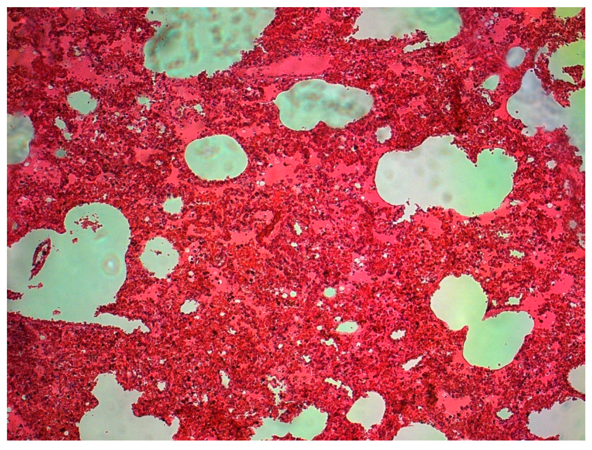 Diagnostics 13 02980 g001