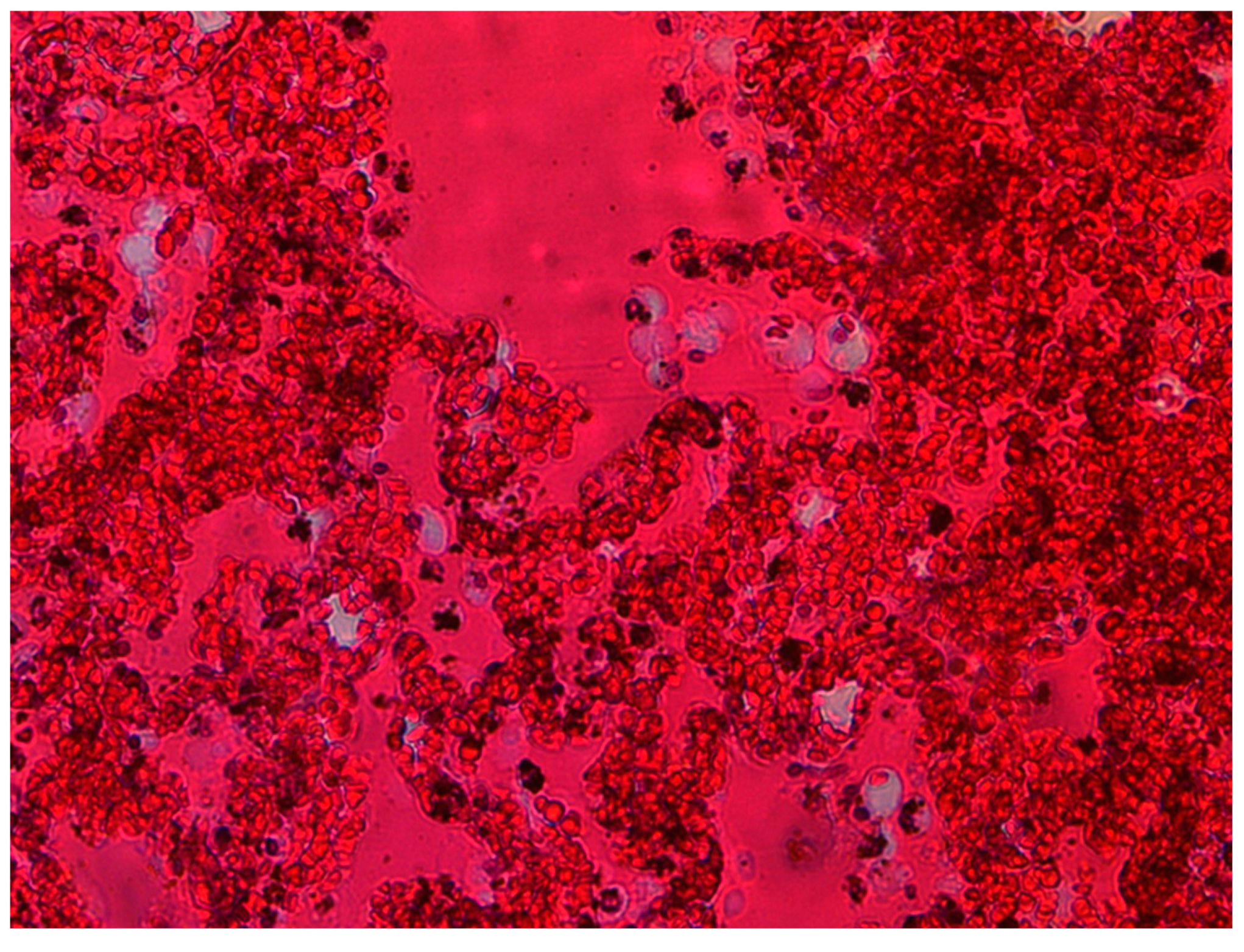 Diagnostics 13 02980 g002