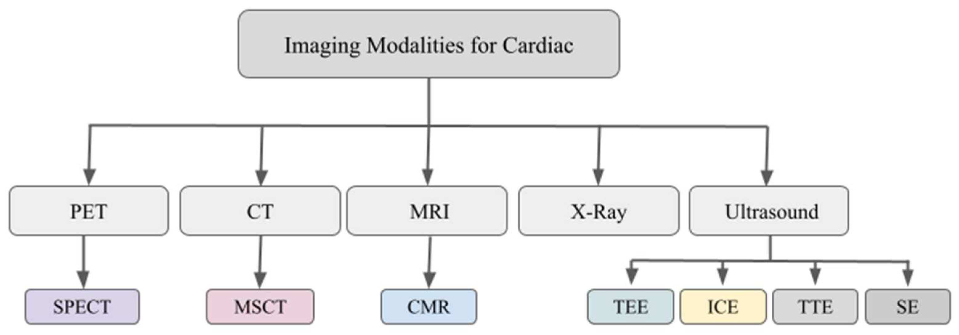 Diagnostics 13 02981 g002 Diagnostics 13 02981 g002