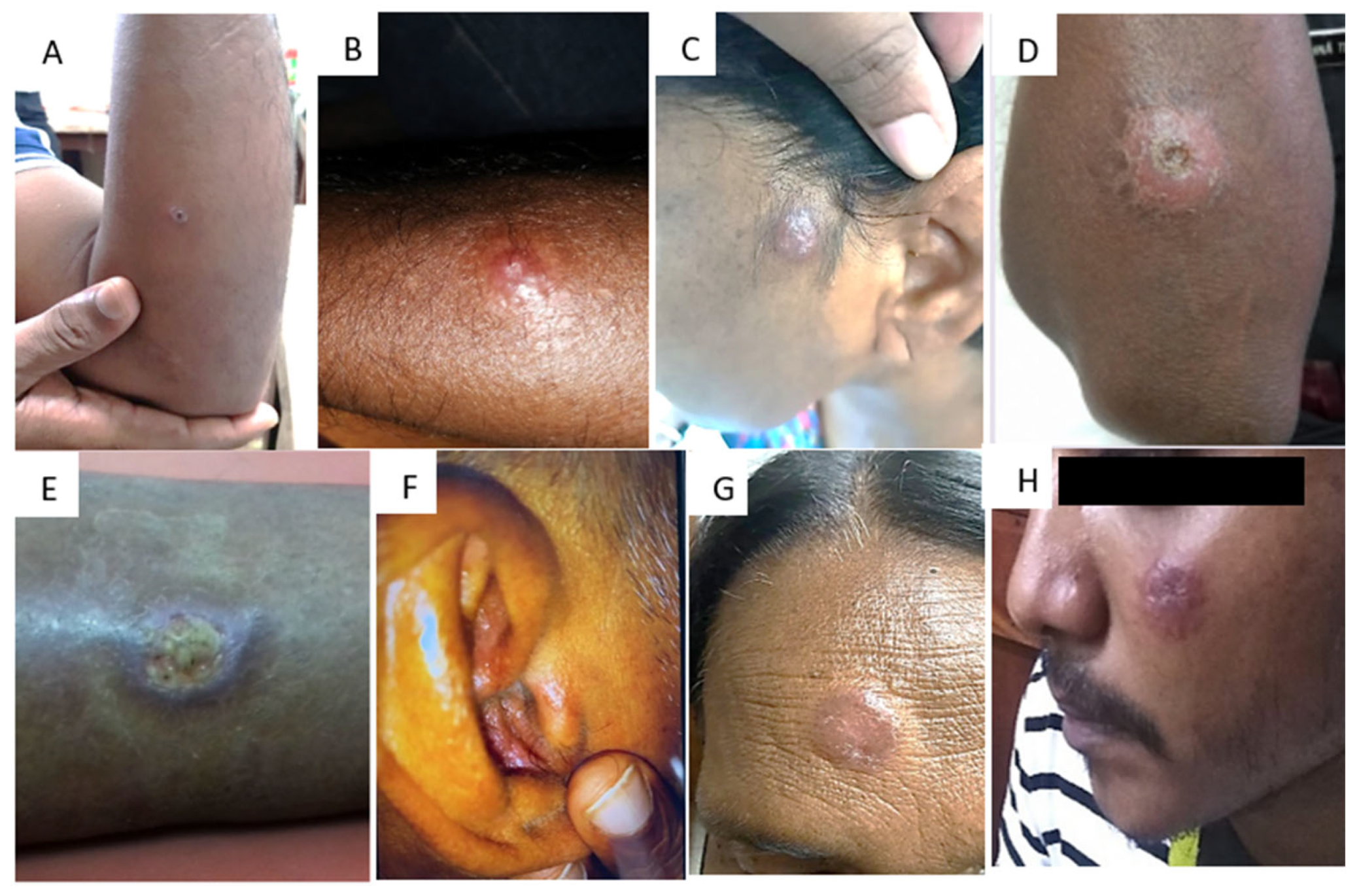 Diagnostics 13 02989 g002