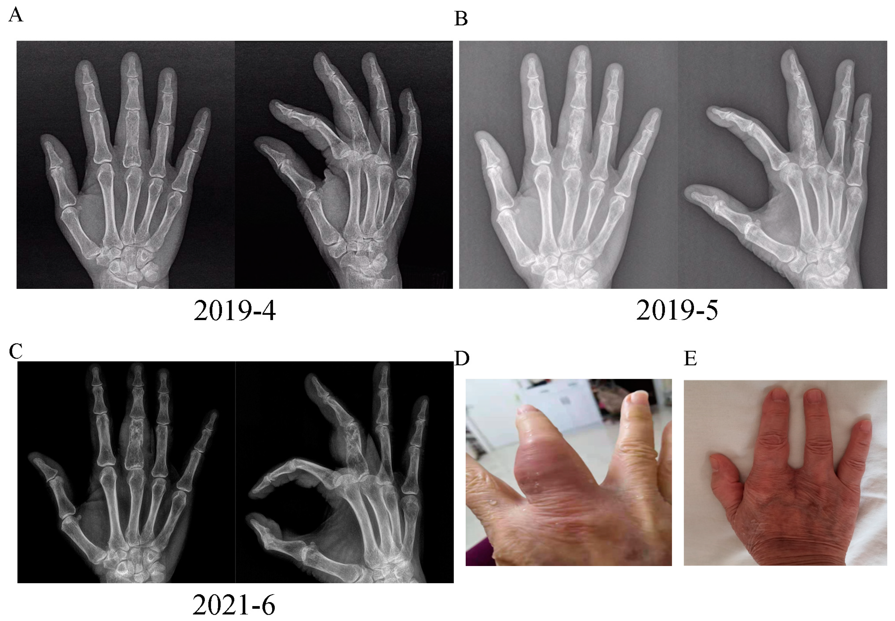 Diagnostics 13 02990 g002