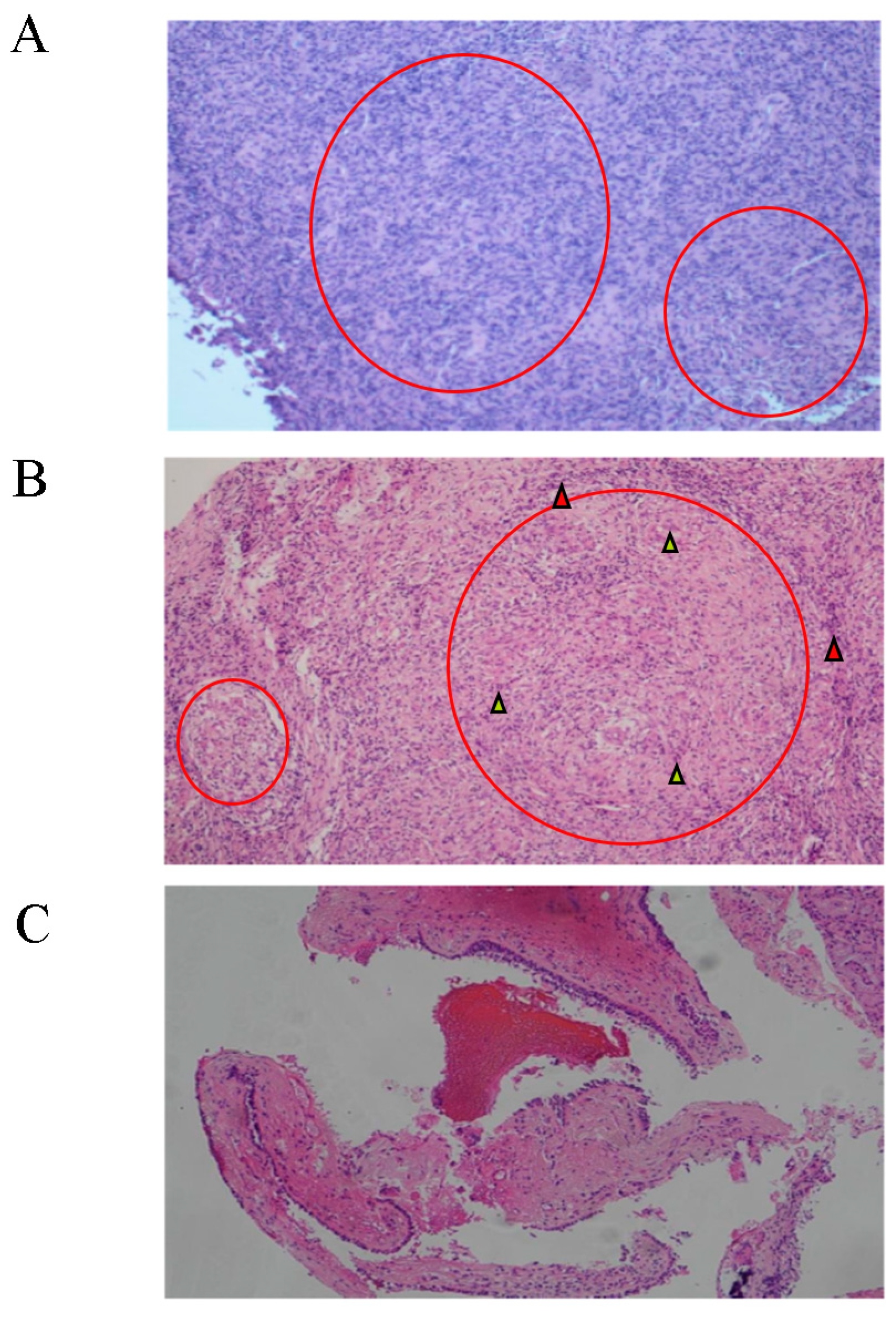 Diagnostics 13 02990 g003