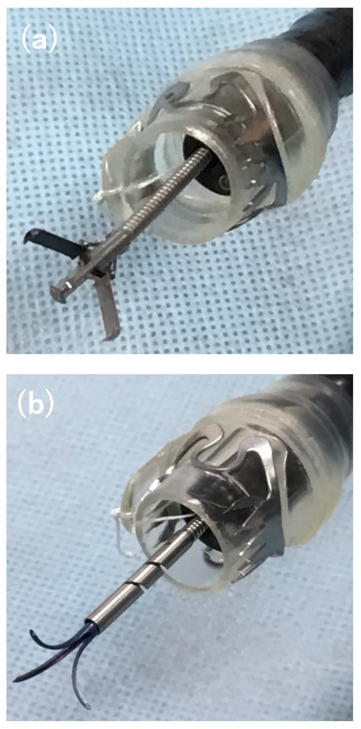 Diagnostics 13 02997 g002 Diagnostics 13 02997 g002