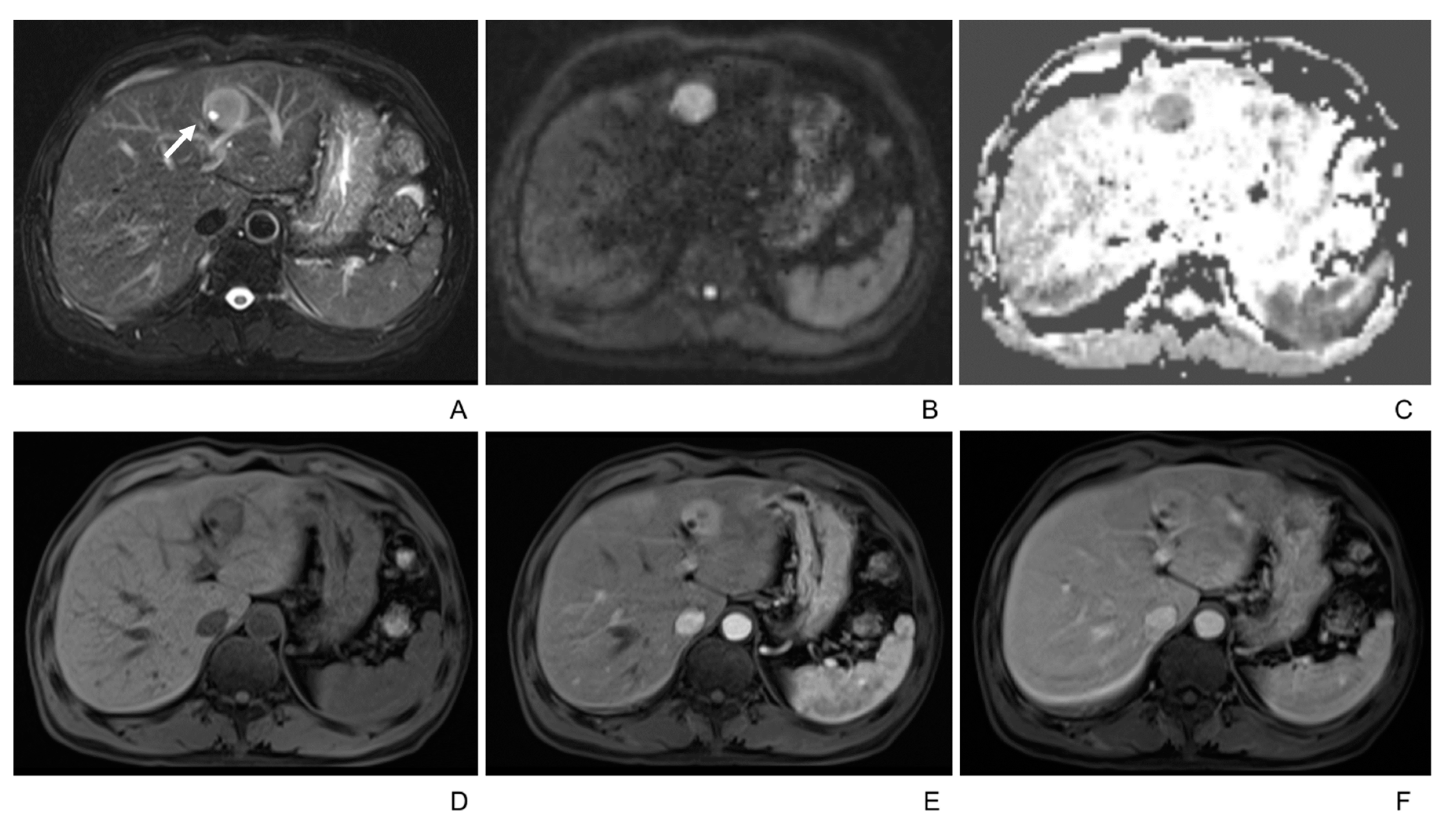 Diagnostics 13 02998 g001