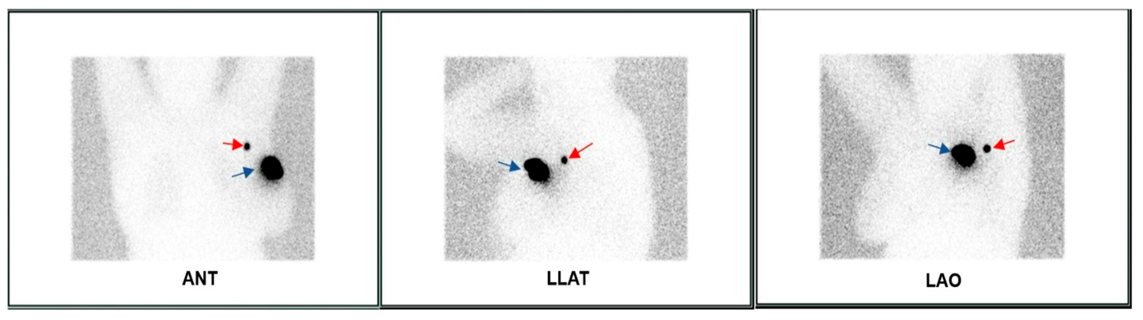 Diagnostics 13 03000 g002 Diagnostics 13 03000 g002