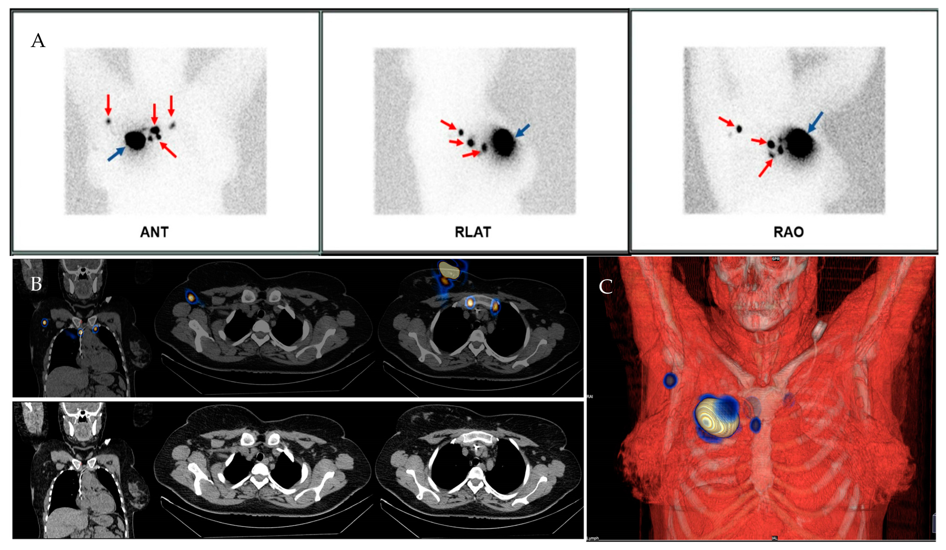 Diagnostics 13 03000 g003 Diagnostics 13 03000 g003