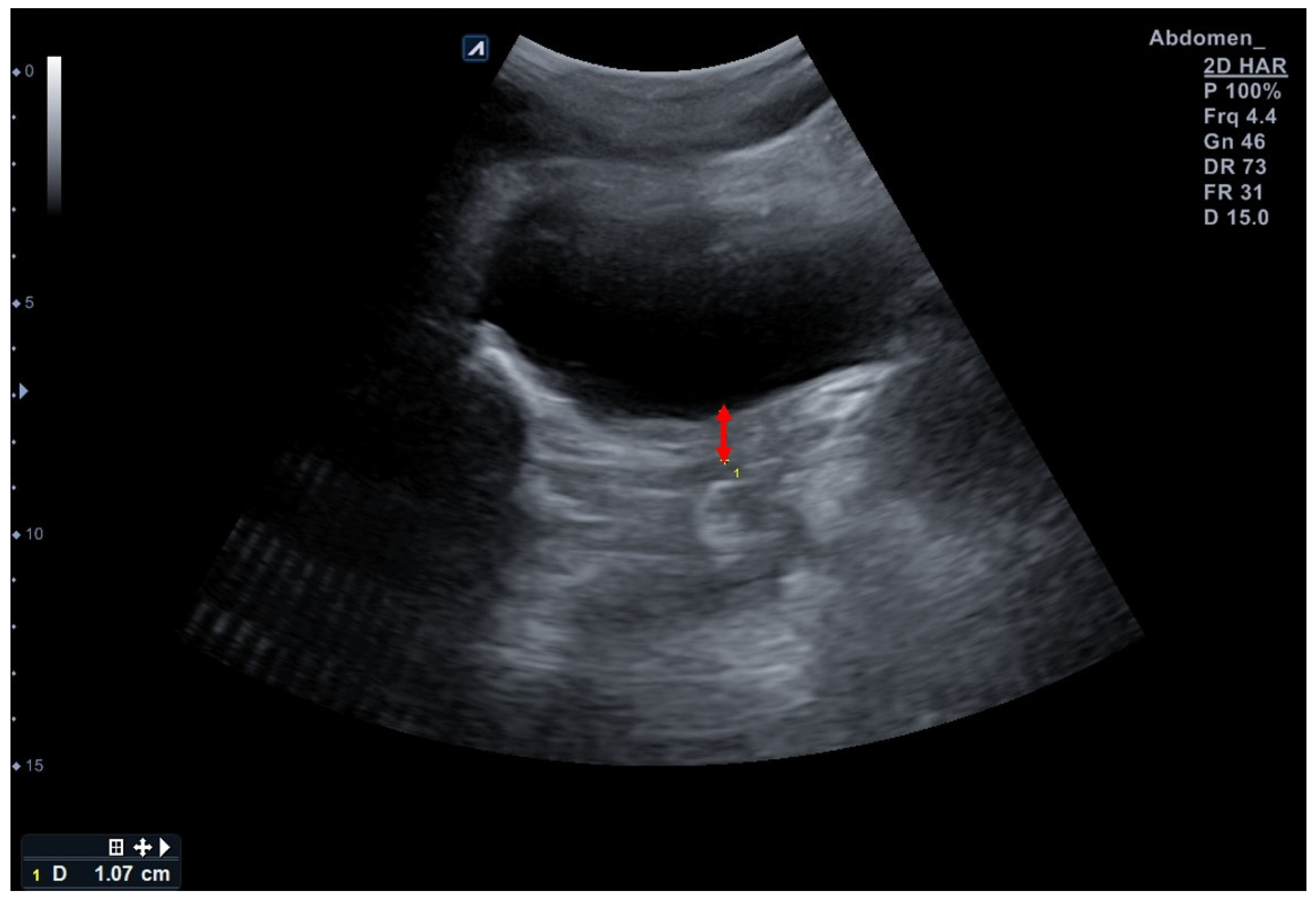 Diagnostics 13 03002 g002