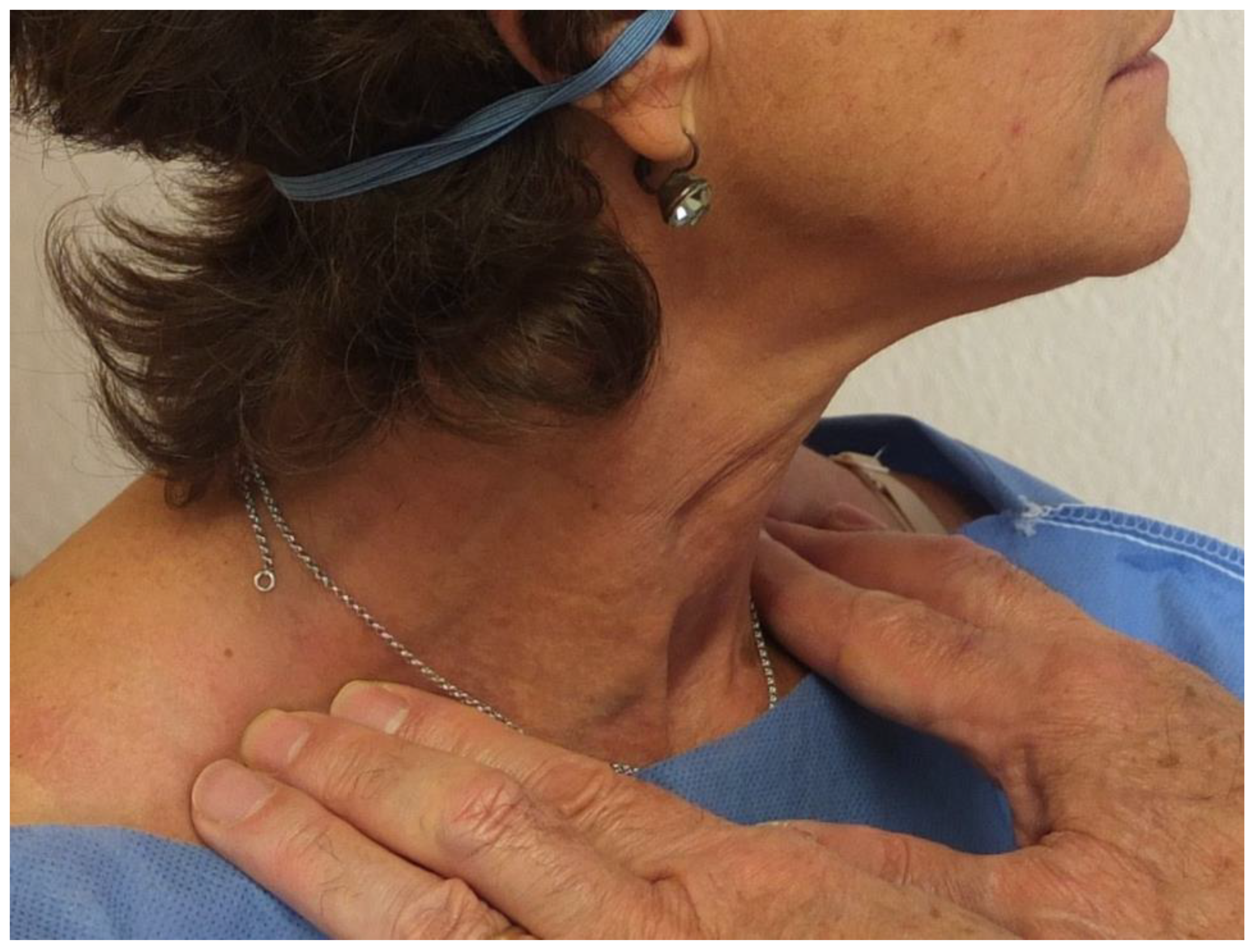 Diagnostics 13 03004 g001