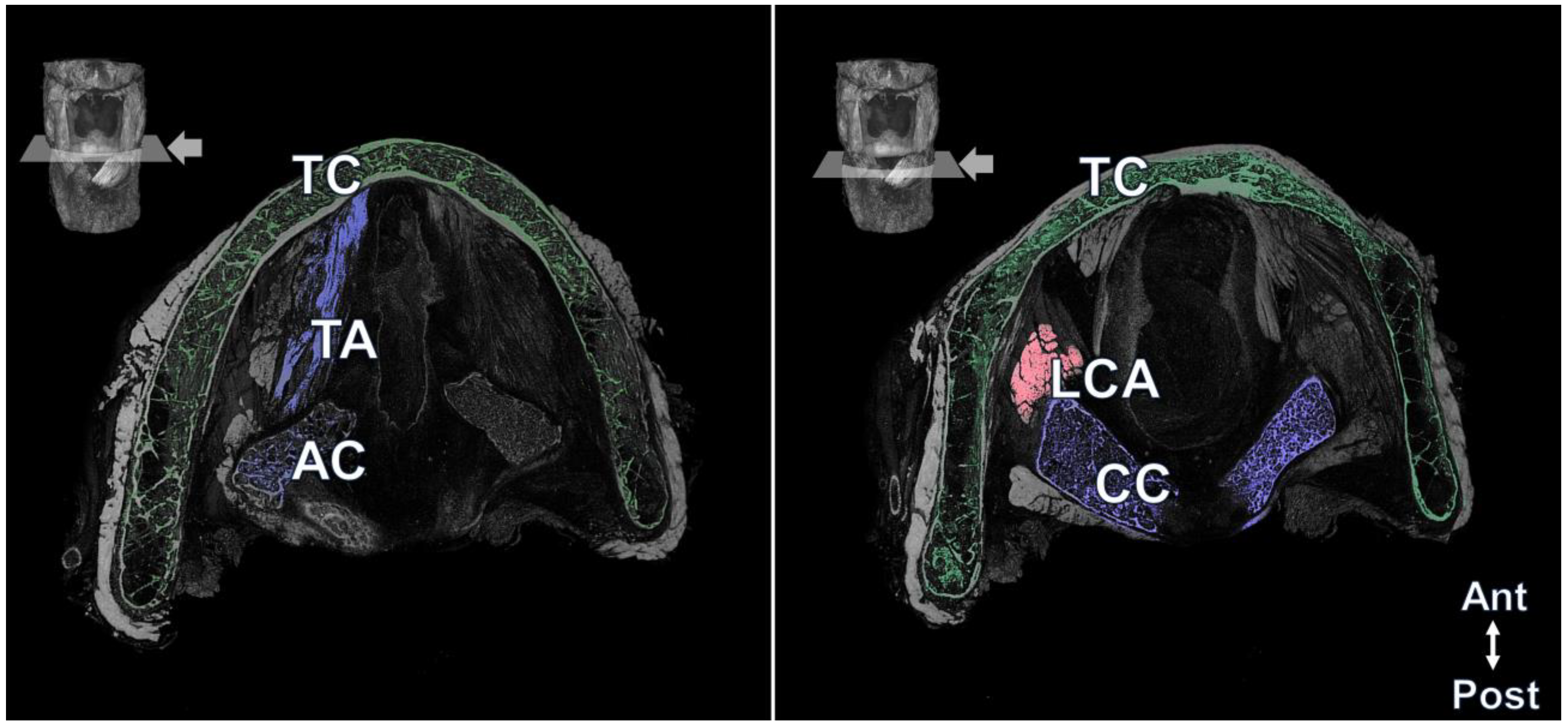 Diagnostics 13 03005 g002