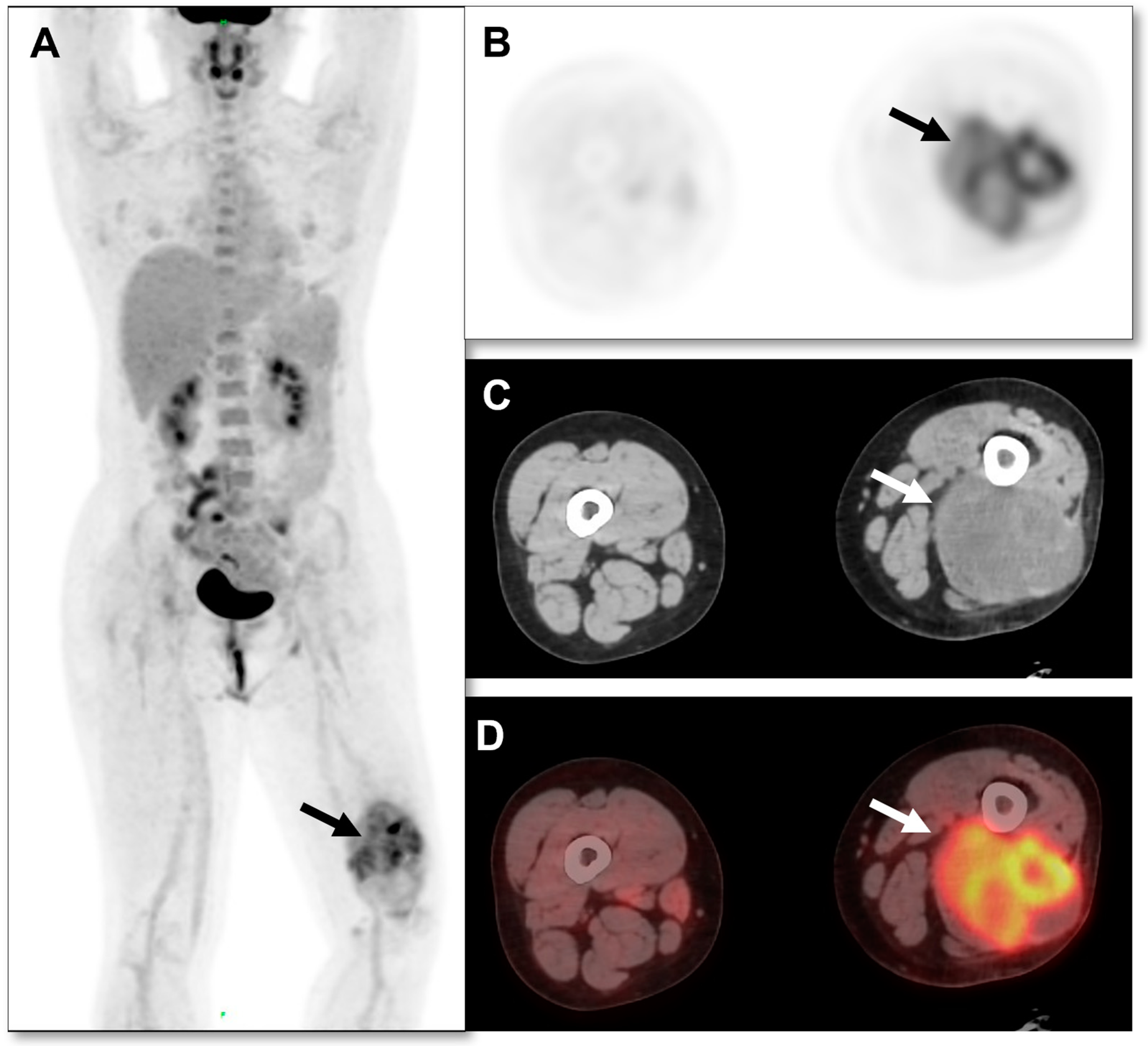 Diagnostics 13 03006 g001