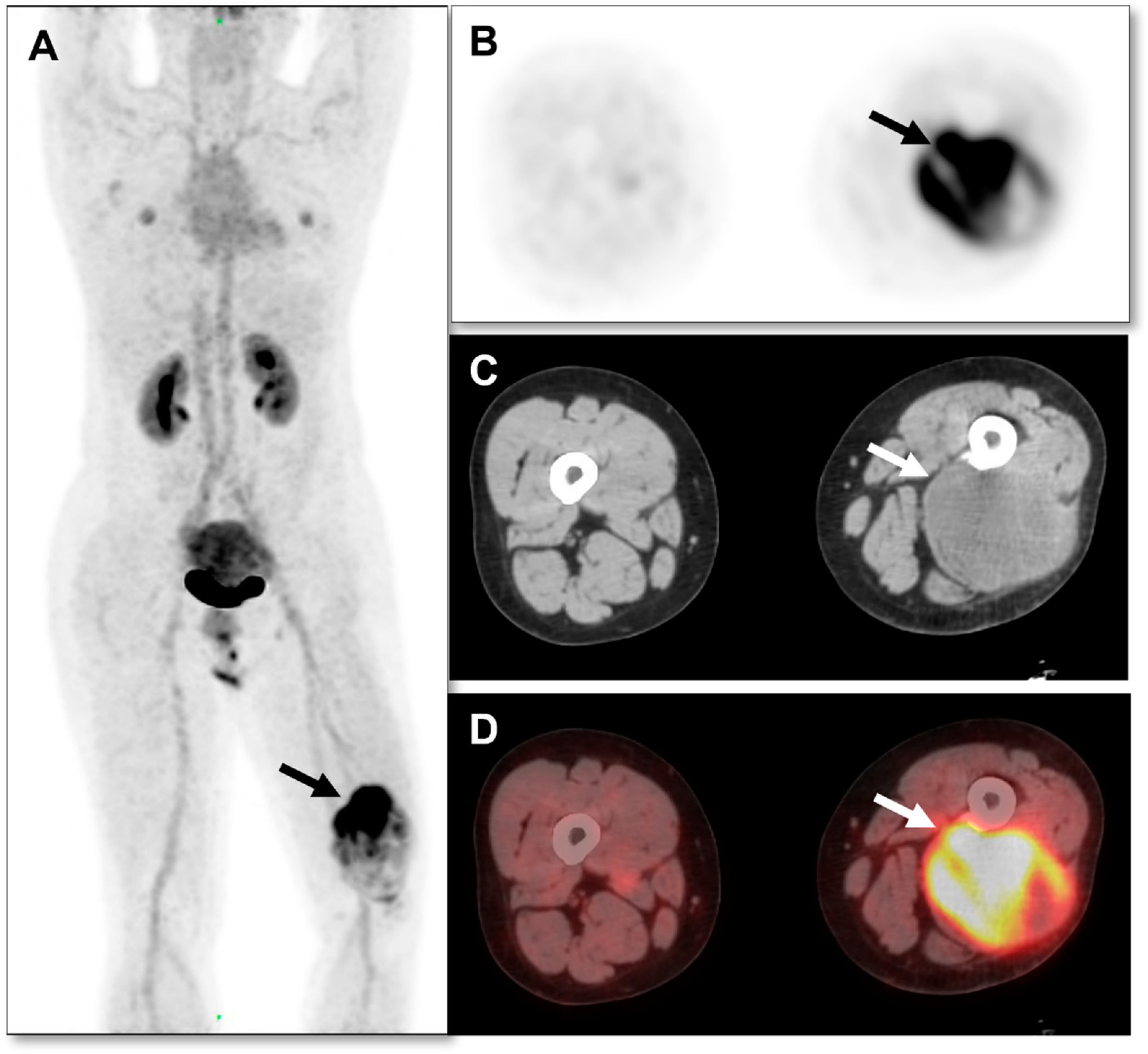 Diagnostics 13 03006 g002