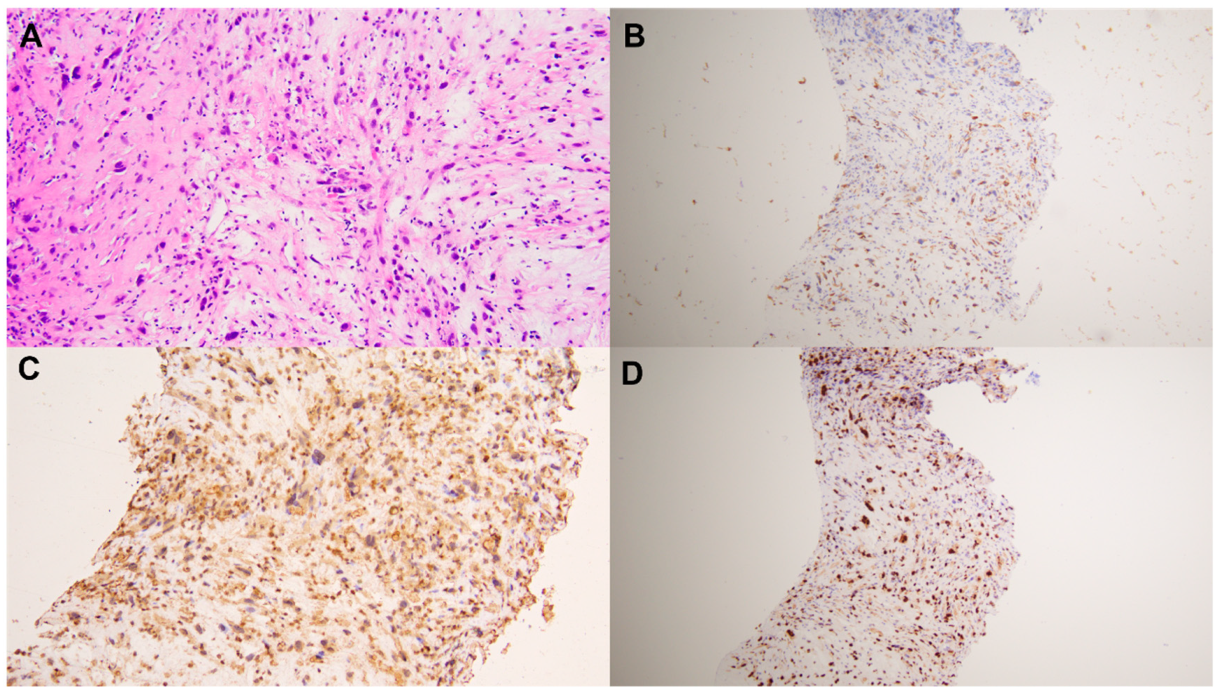 Diagnostics 13 03006 g003