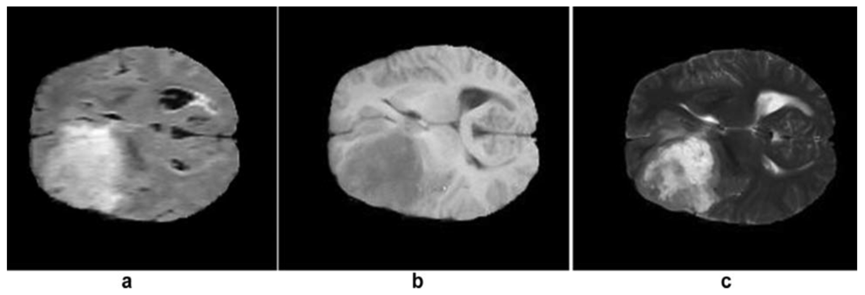 Diagnostics 13 03007 g003