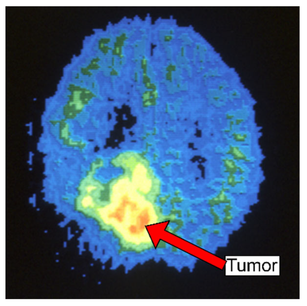 Diagnostics 13 03007 g005