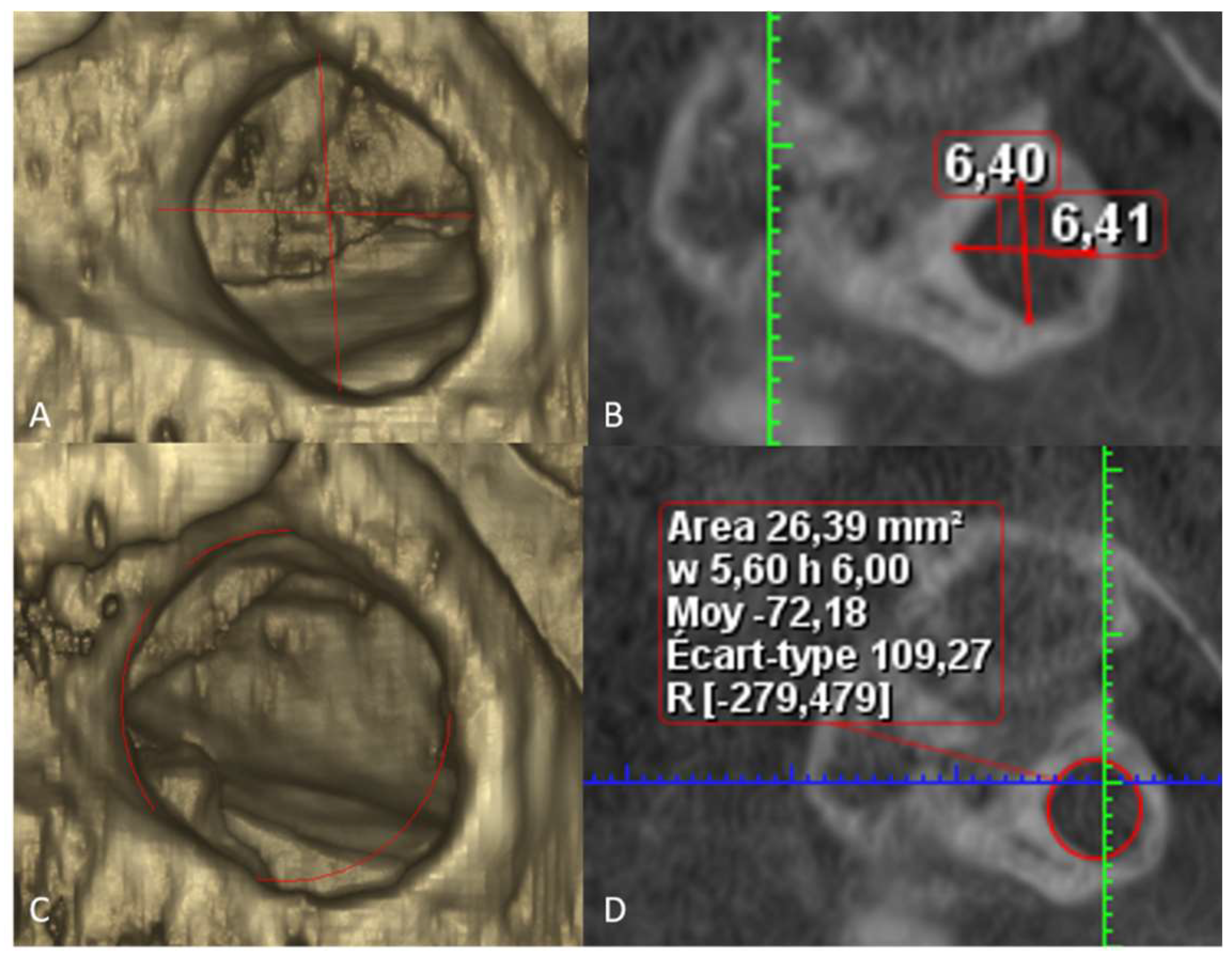 Diagnostics 13 03009 g001 Diagnostics 13 03009 g001