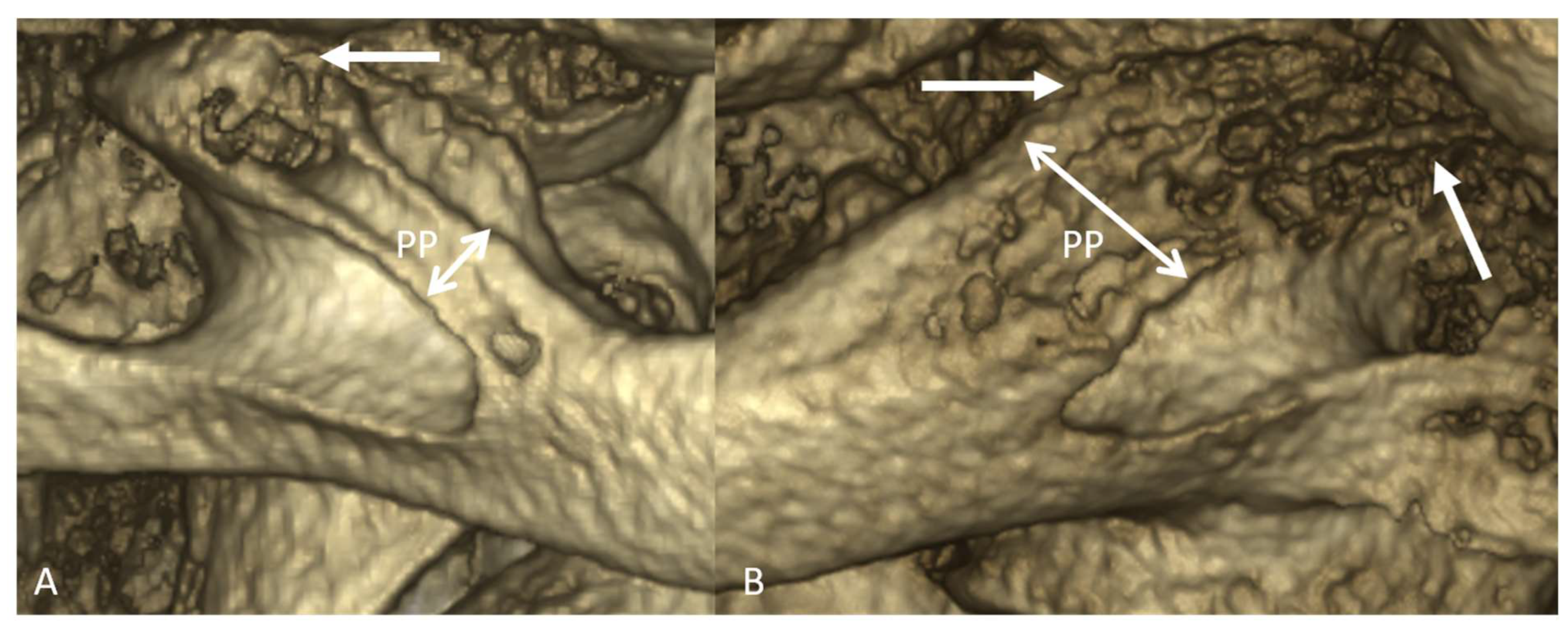 Diagnostics 13 03009 g002 Diagnostics 13 03009 g002
